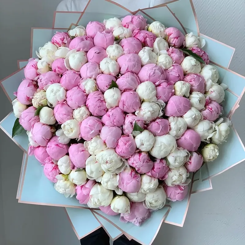 101 peony