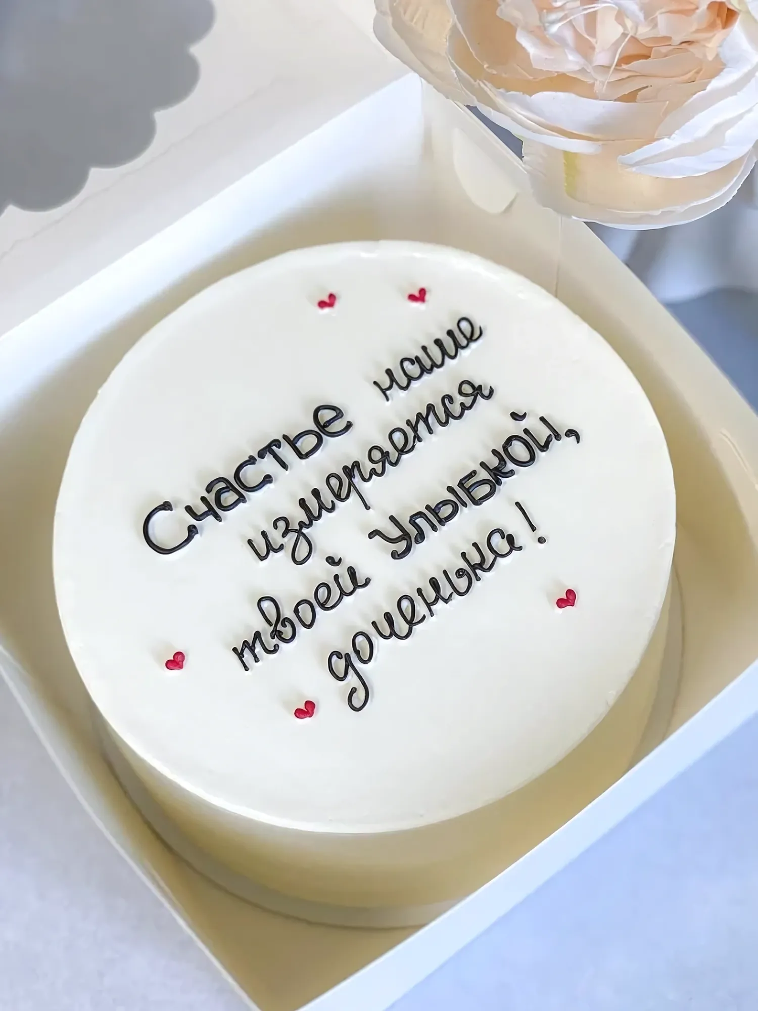 Bento cake for Little Daughter