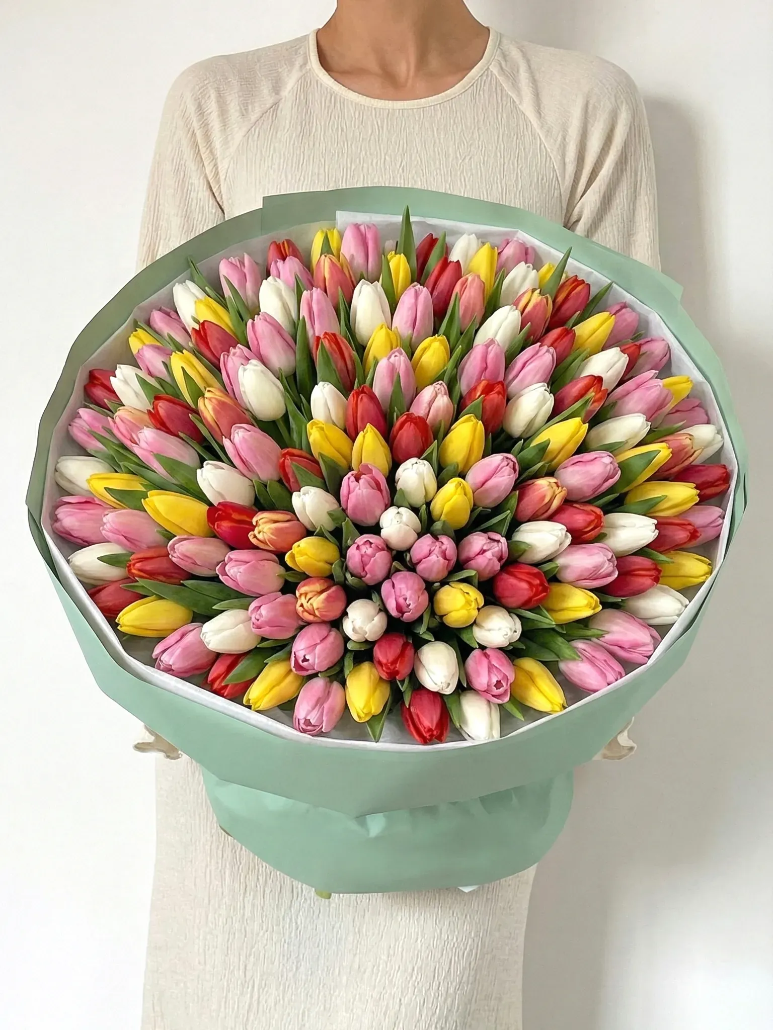 101 tulip mix