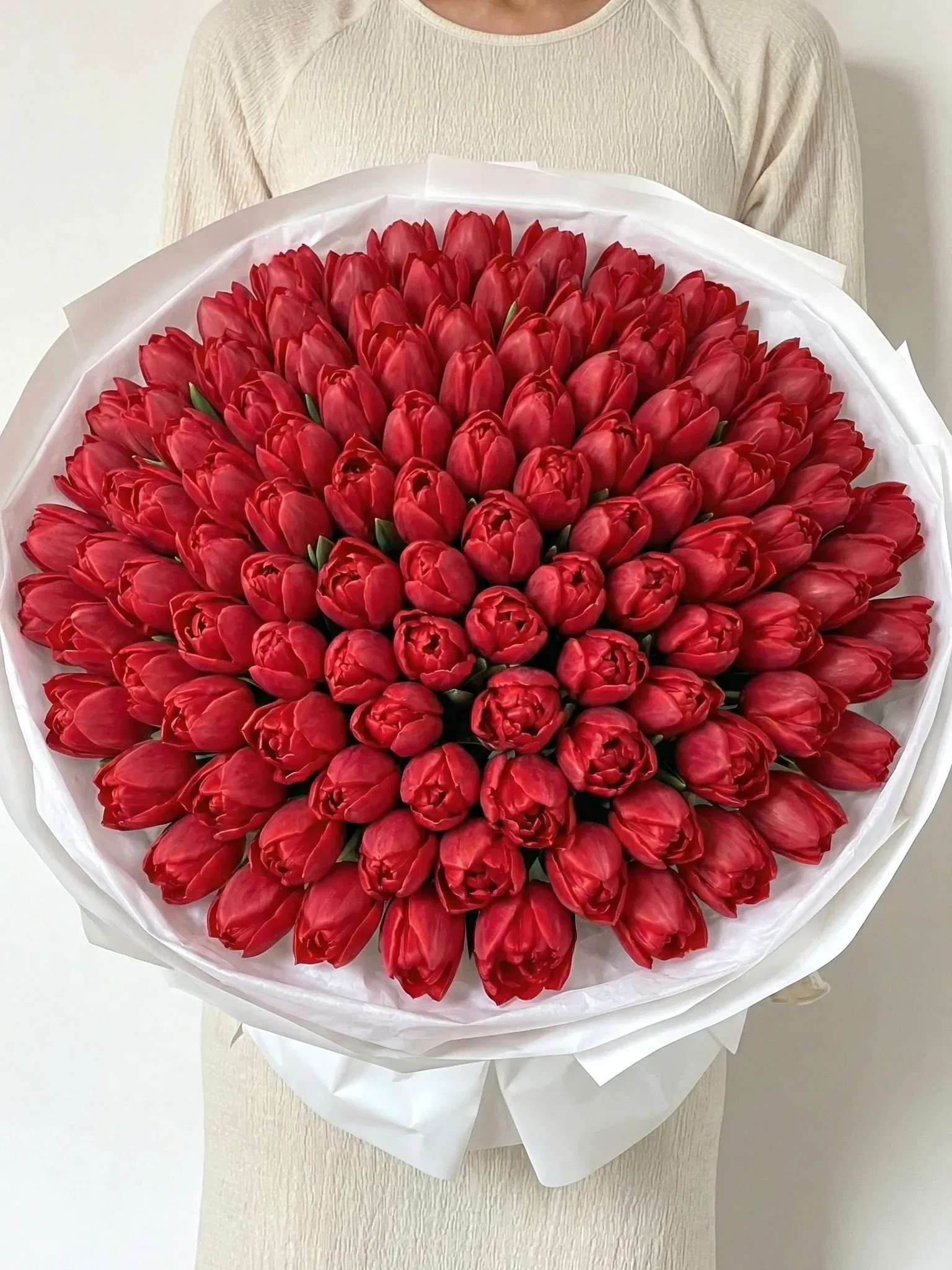 101 пионовидный тюльпан