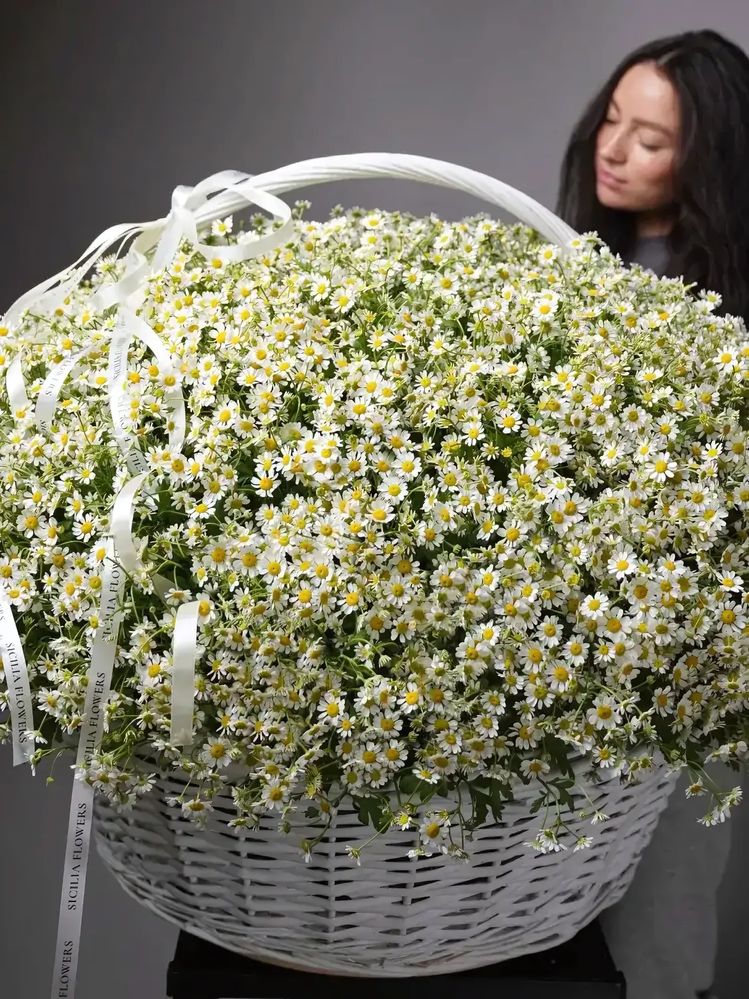 Basket of daisies