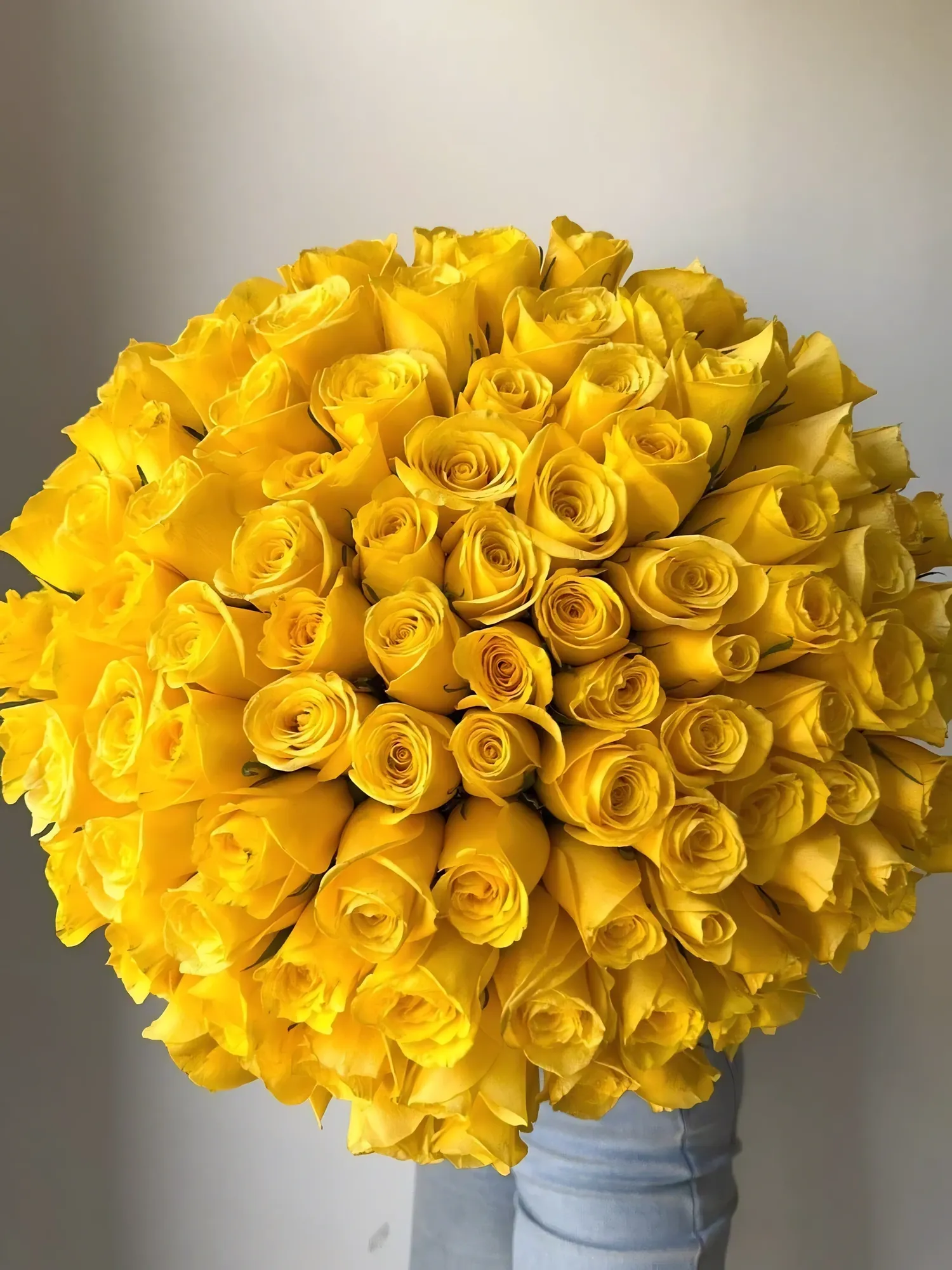 101 yellow rose
