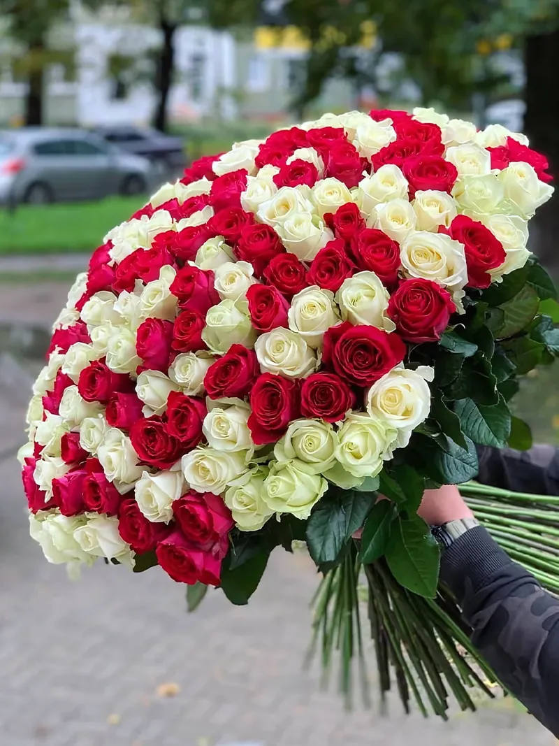 Букет из 201 розы