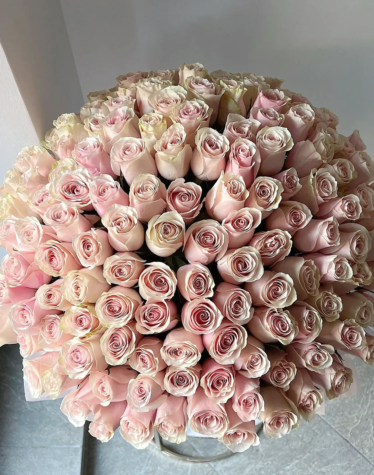 151 rose in a box