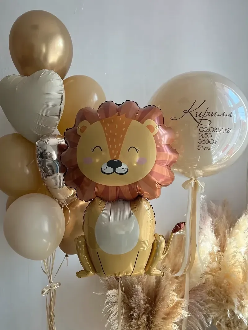 Balloon set No. №48