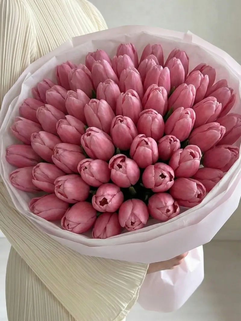 51 розовый тюльпан