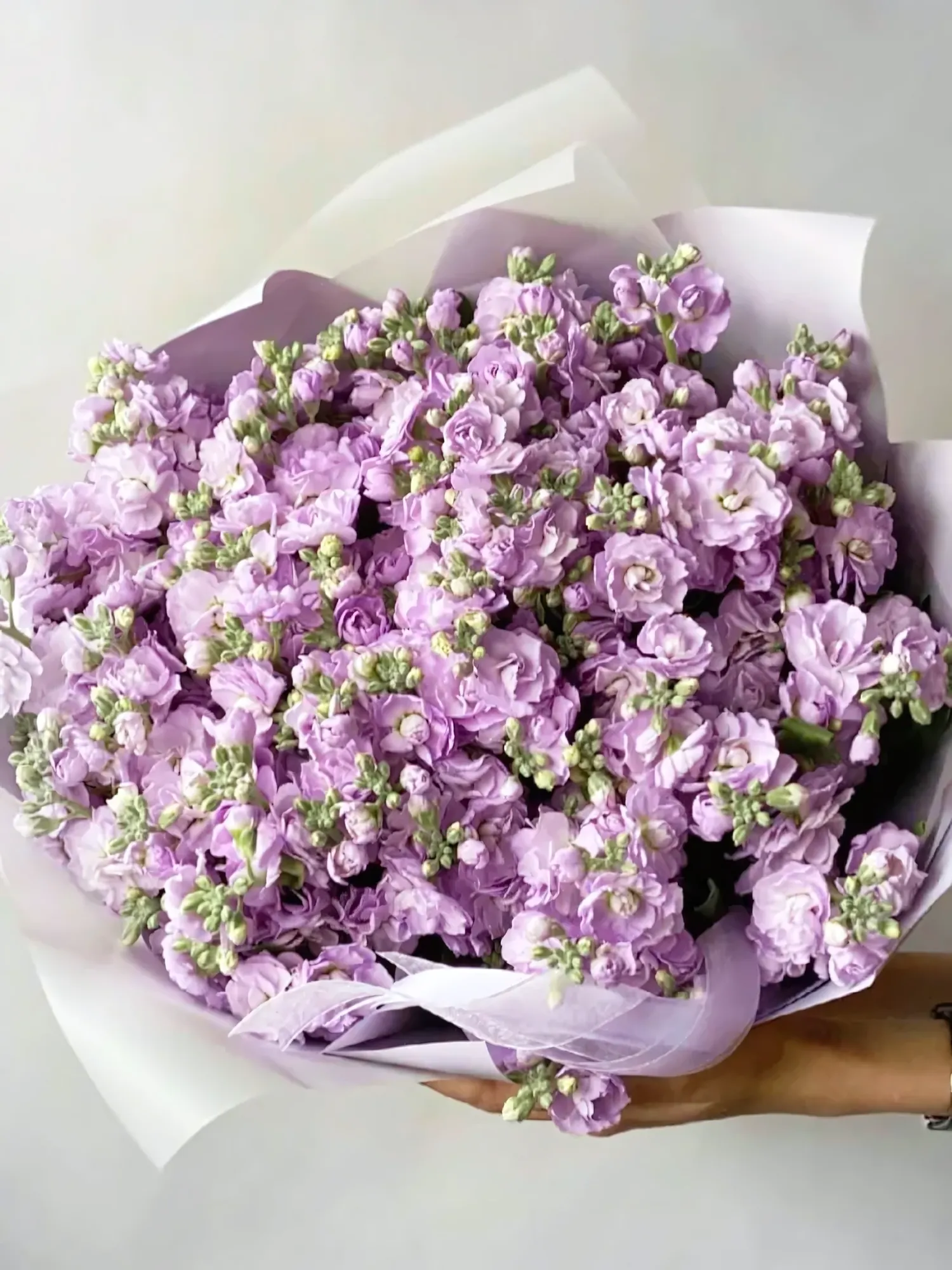 Bouquet Echo of Dreams