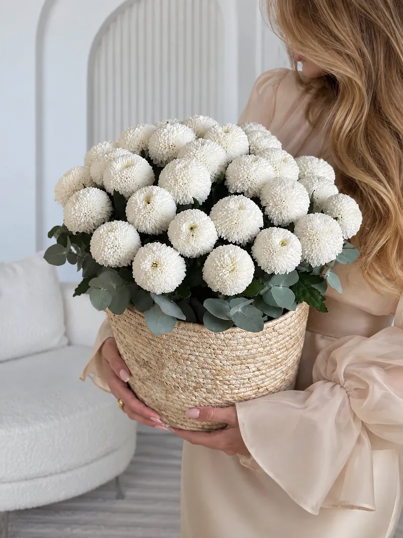 Корзина из 25 белых хризантем