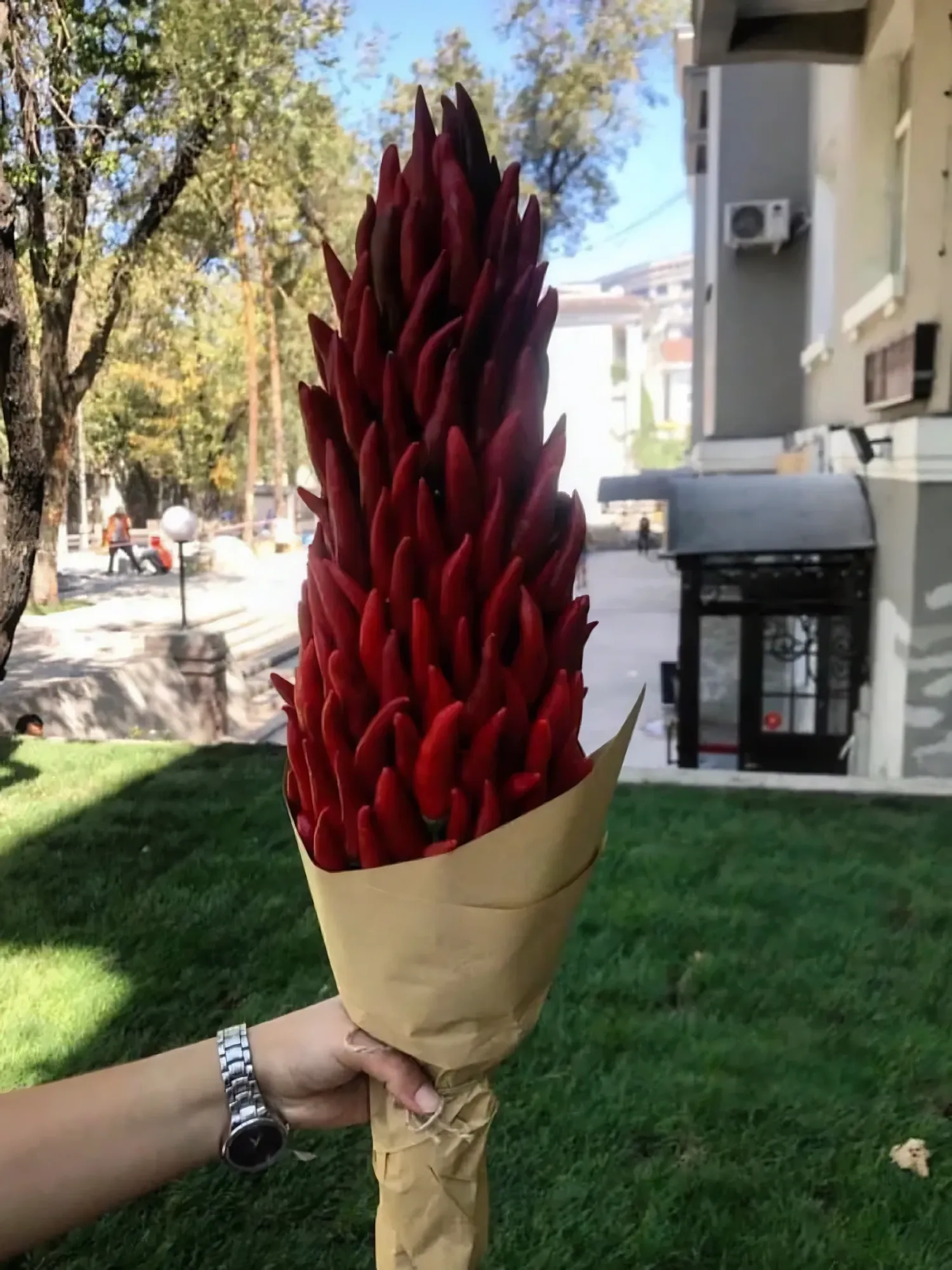 Қызыл бұрыш букеті — 2-сурет