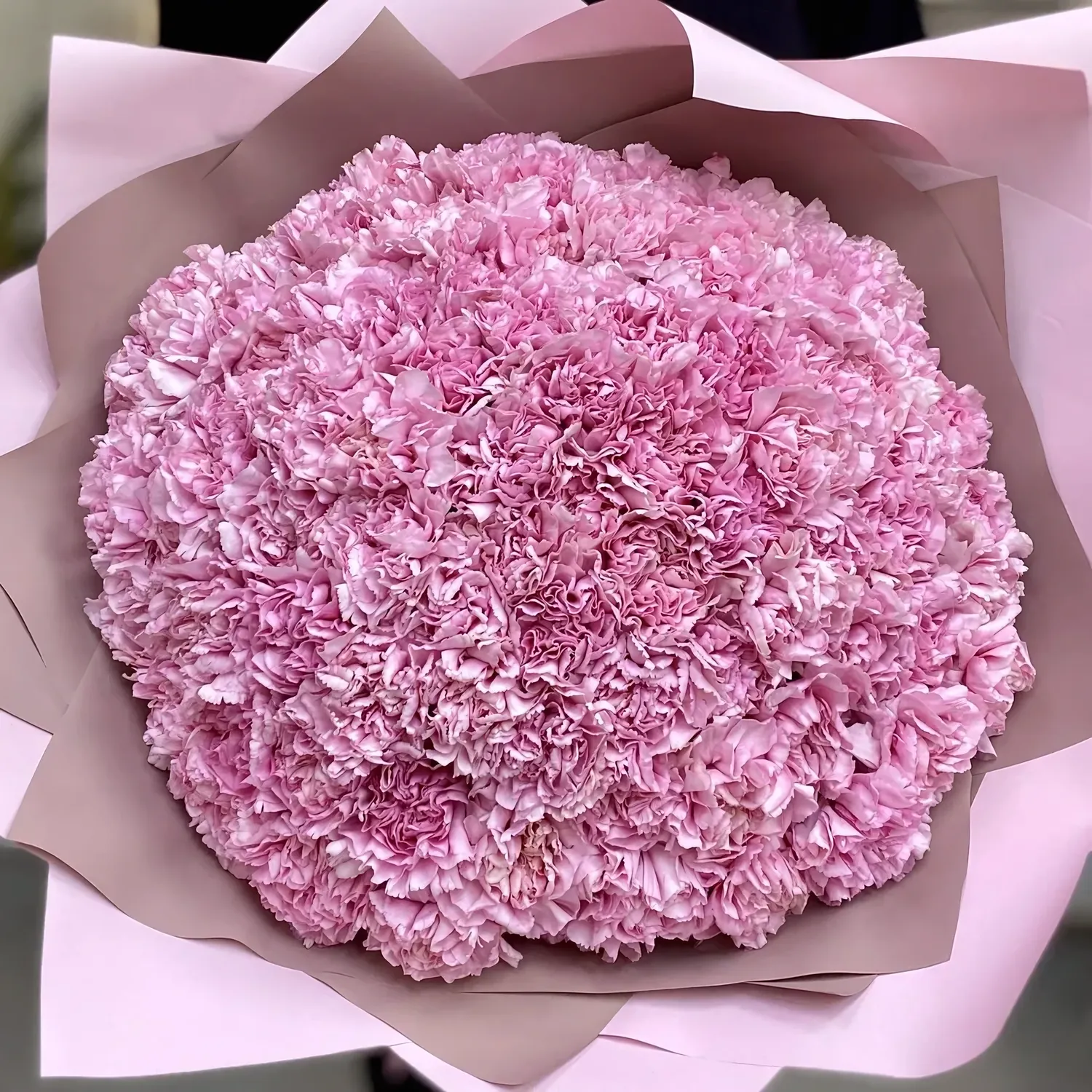 Bouquet of 101 diantus flowers