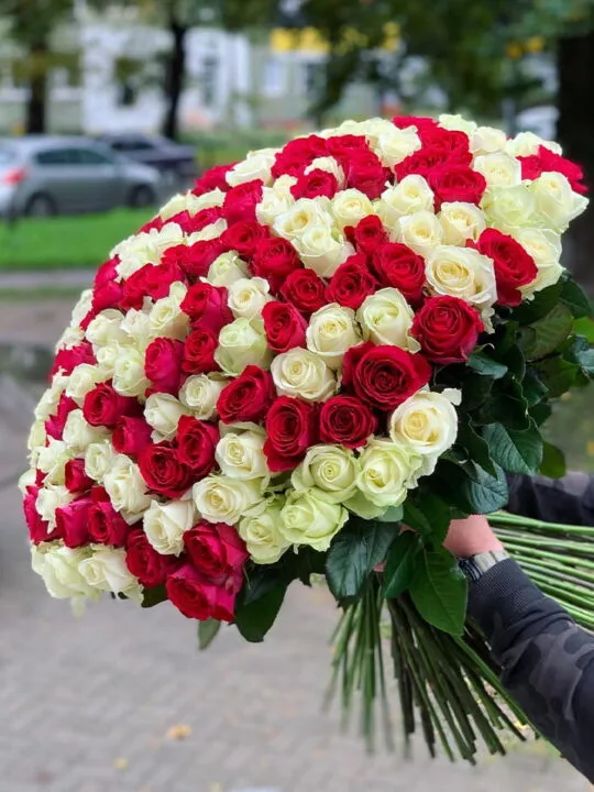 Букет из 201 розы