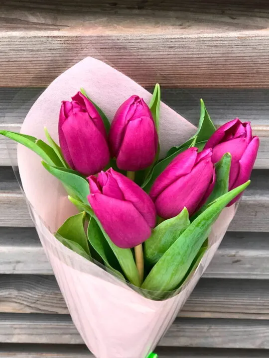 Букет из 5 тюльпанов