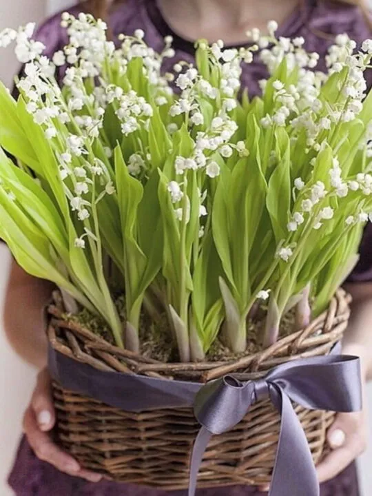 Корзина с ландышами