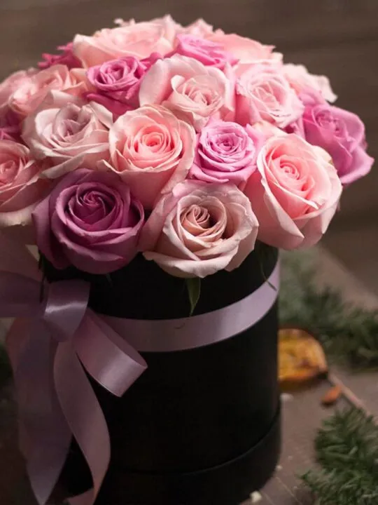 21 роза в коробке