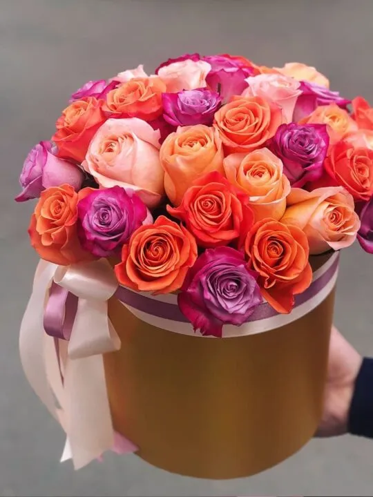 31 роза в коробке