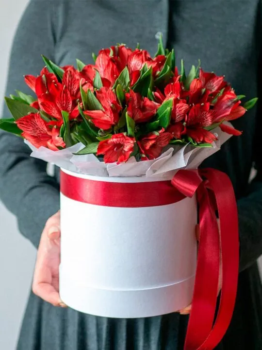 Композиция Нет тебя прекраснее