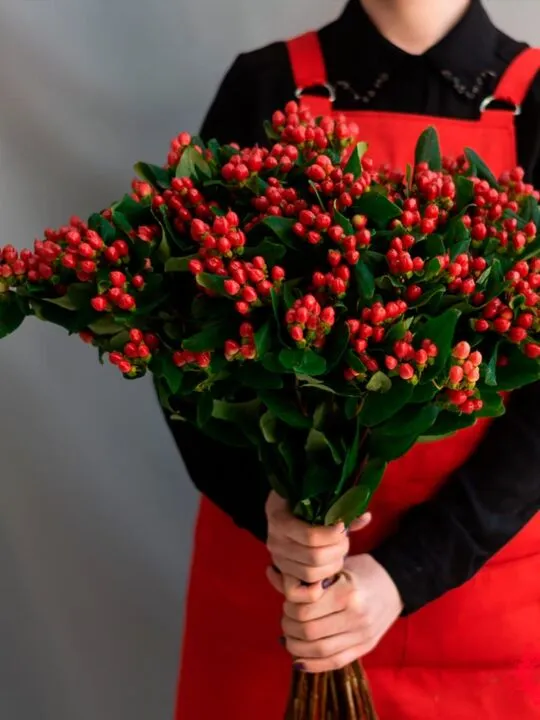 Букет из гиперикума