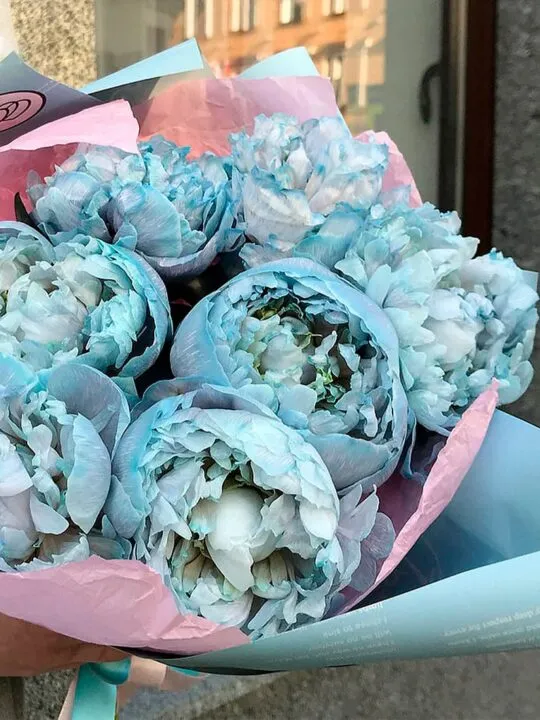 Букет голубых пионов