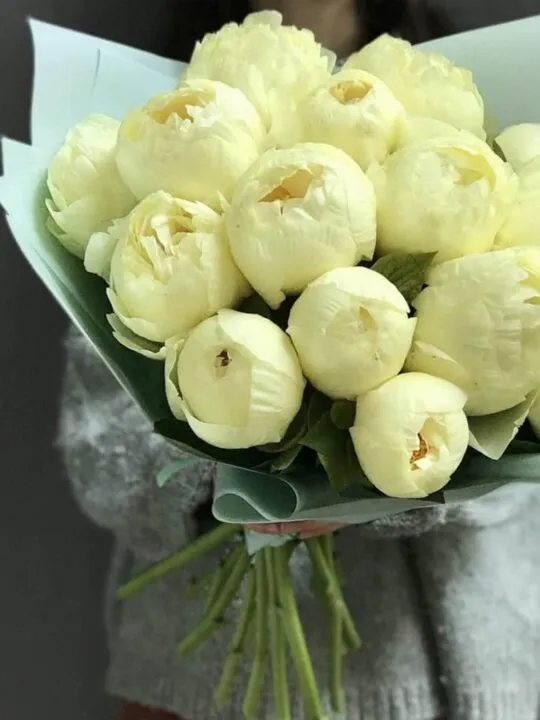 Букет из 13 пионов