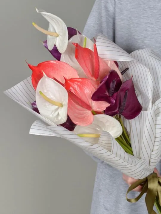 Букет из антуриумов