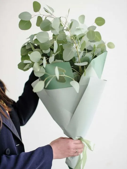 Букет из эвкалипта