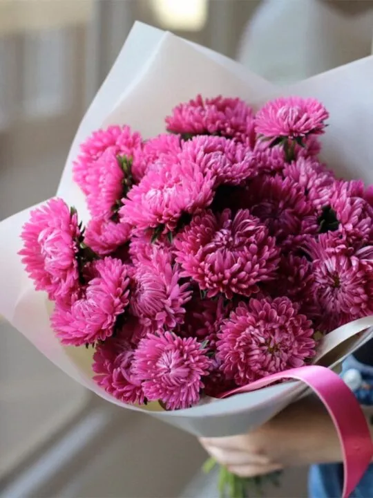 Букет из астр