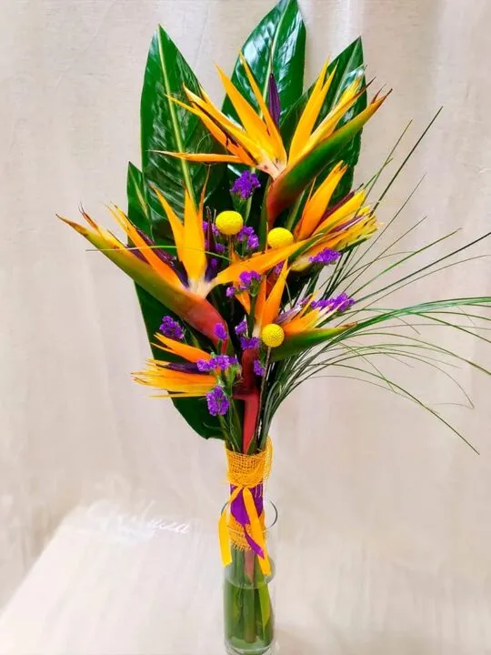 Букет из стрелиции