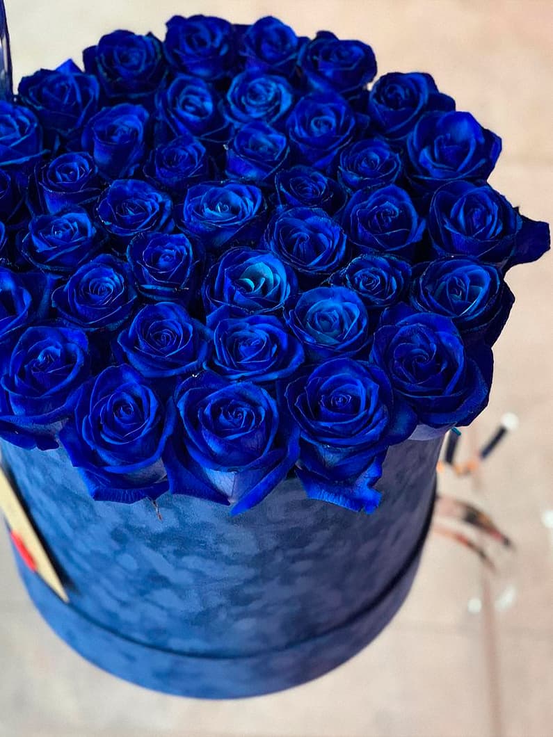 Синие голландские розы