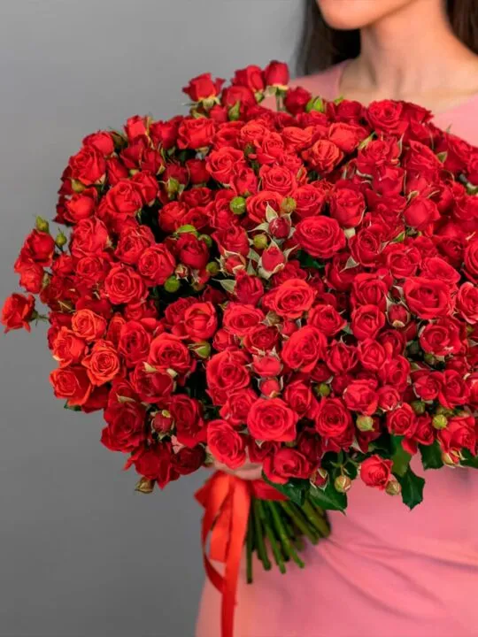 Красная кустовая роза