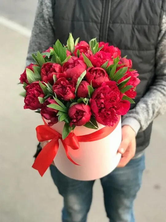 Красные пионы в коробке