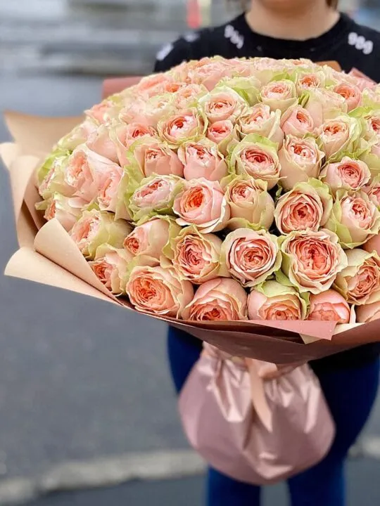 Кремовые пионовидные розы