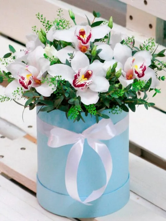 Белые орхидеи в коробке