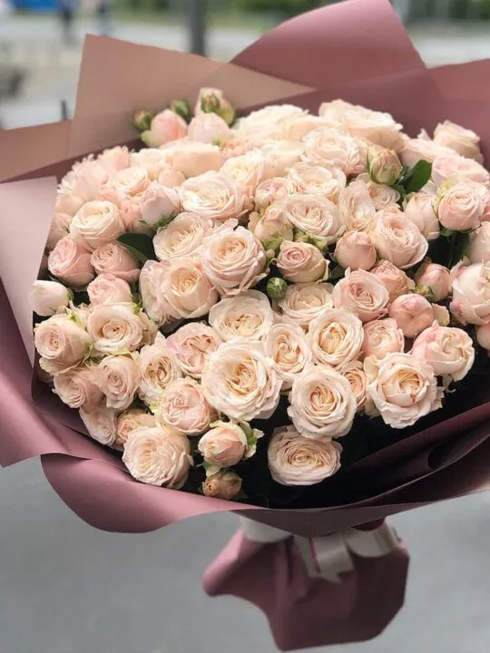 Пионовидные розы Бомбастик