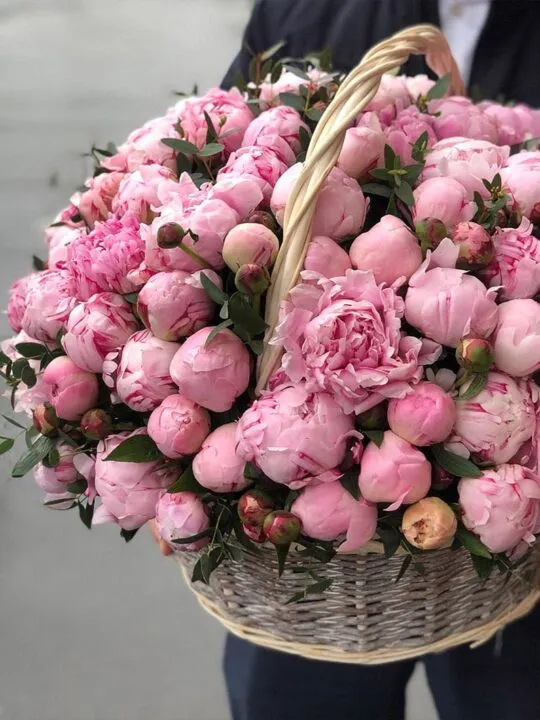 101 пион в корзине