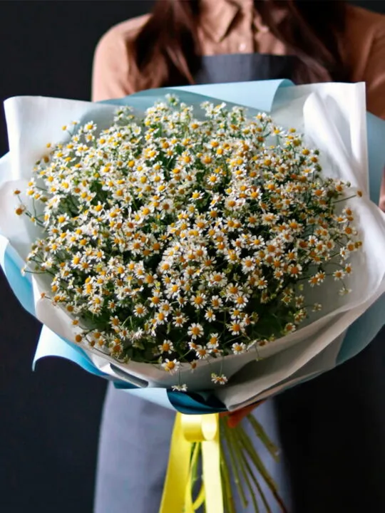 Букет из полевых ромашек