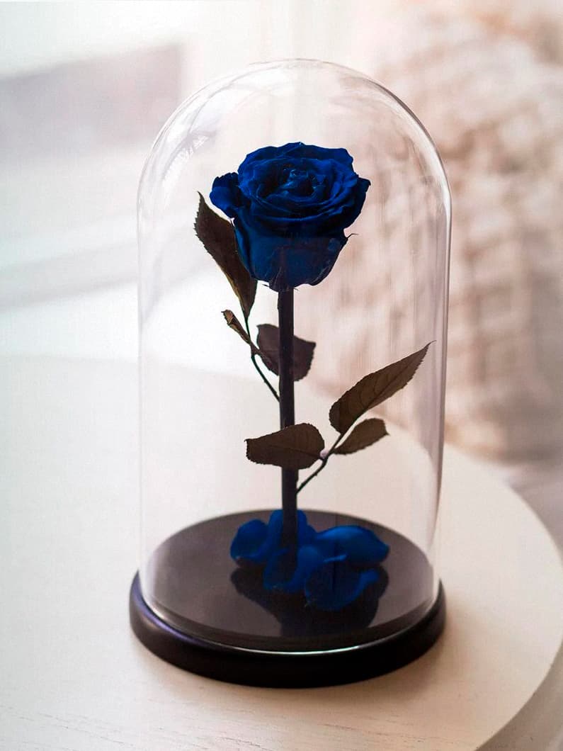 синяя роза в колбе