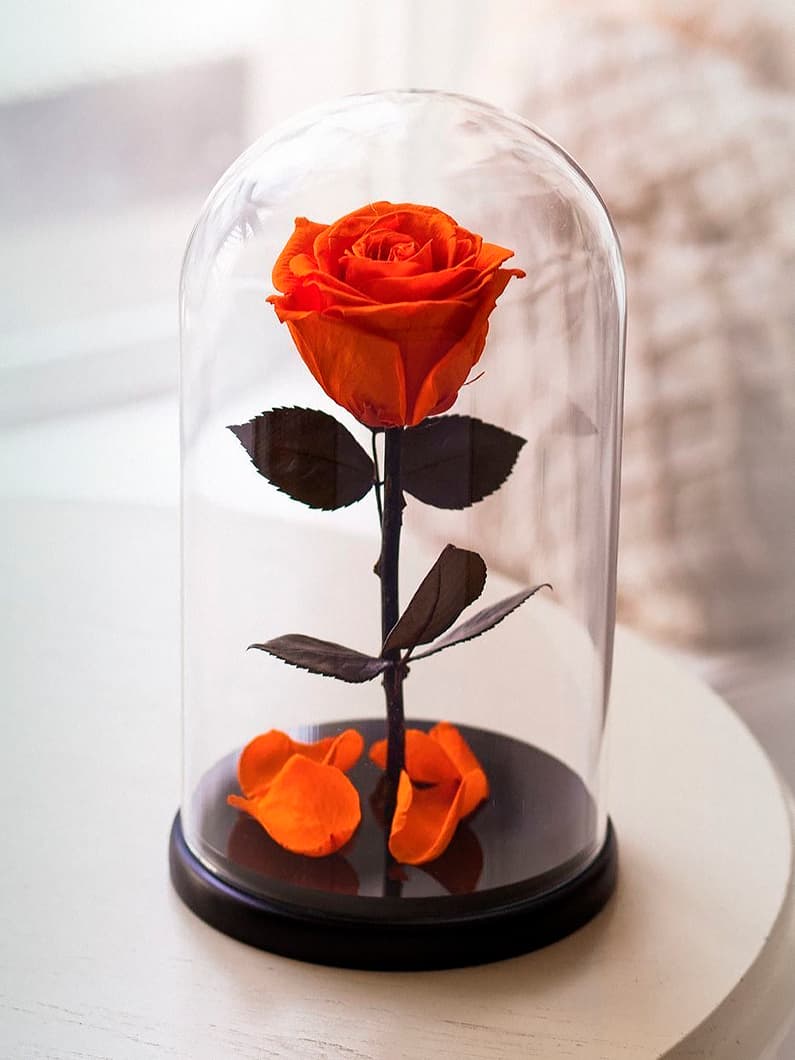 Оранжевая роза в колбе (small)