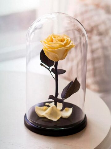 Желтая роза в колбе (small)