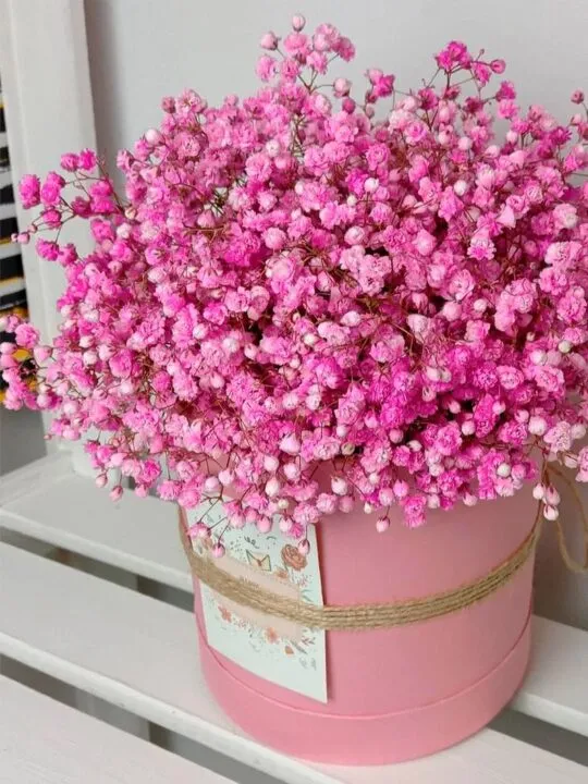 Розовая гипсофила в шляпной коробке