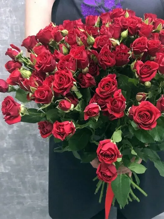 Бордовые кустовые розы