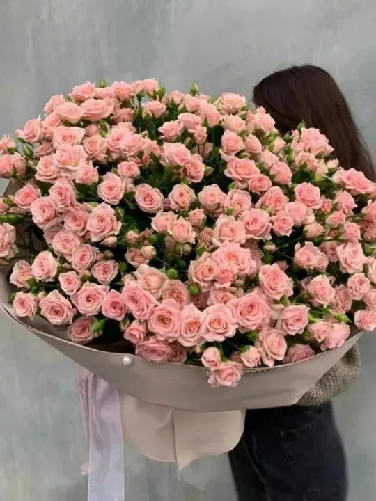 101 кустовая роза