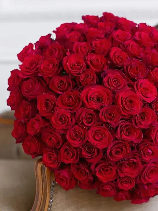 101 красная роза