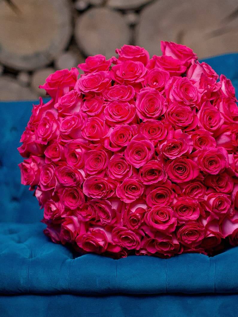 розовые розы 101 шт 40 см