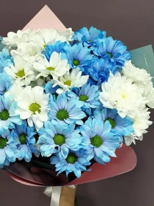 Букет из 11 хризантем