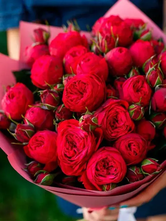 Букет Ираида