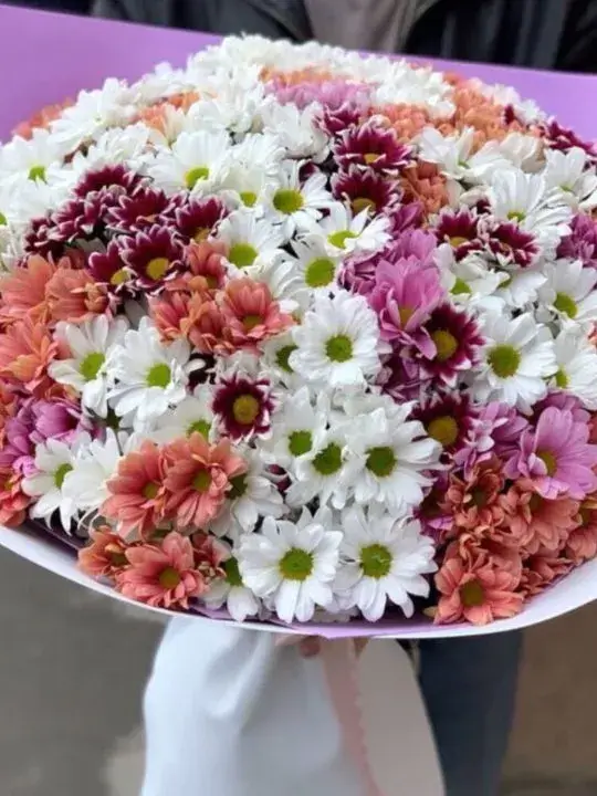 Букет из 51 хризантемы