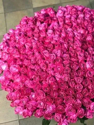Букет из 501 розы