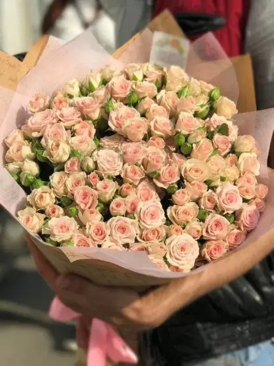 51 кустовая роза