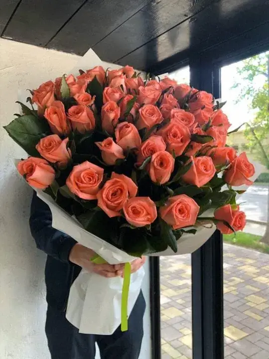 51 метровая роза