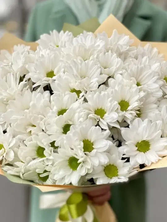 Букет из 7 хризантем